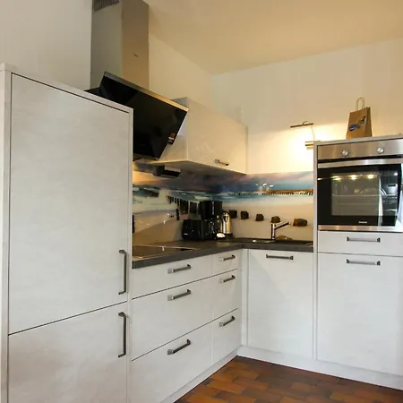 Kormoran Dünensommer *